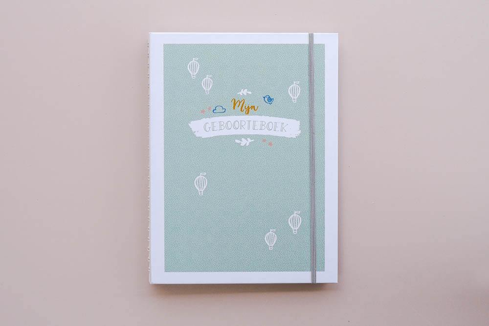 Mijn geboorteboek / kraambezoekboek - mint
