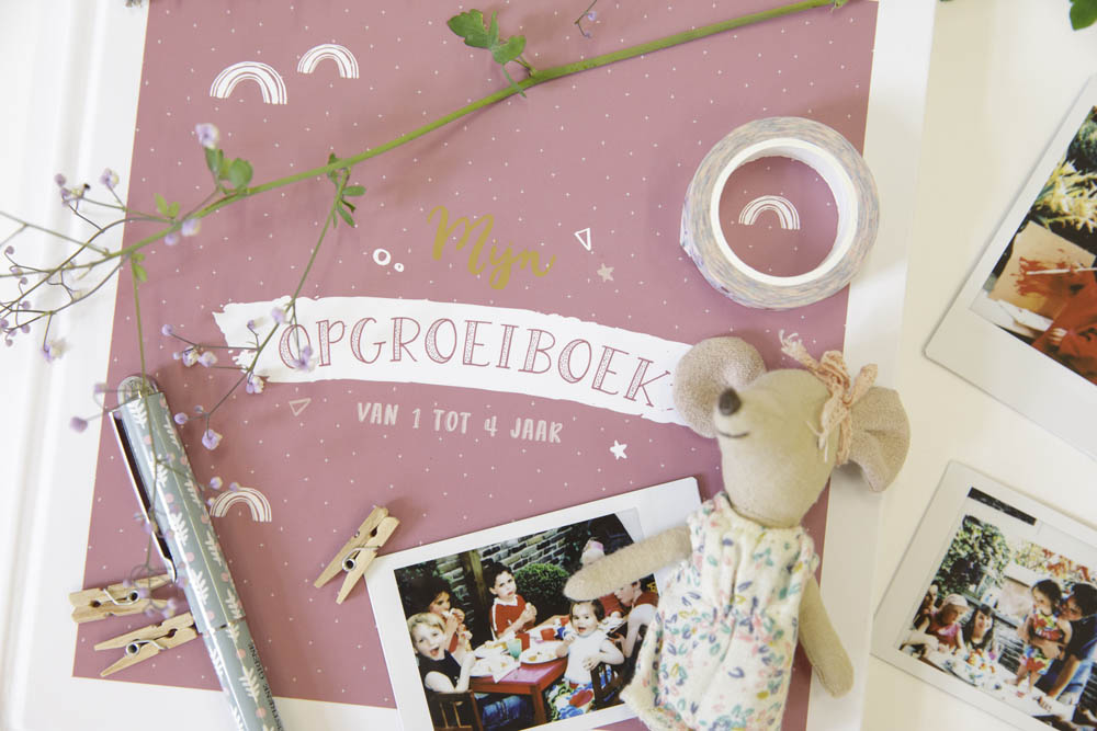 Mijn opgroeiboek (1 tot 4 jaar) - roze