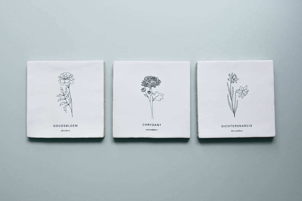Tegeltje geboortebloem - December