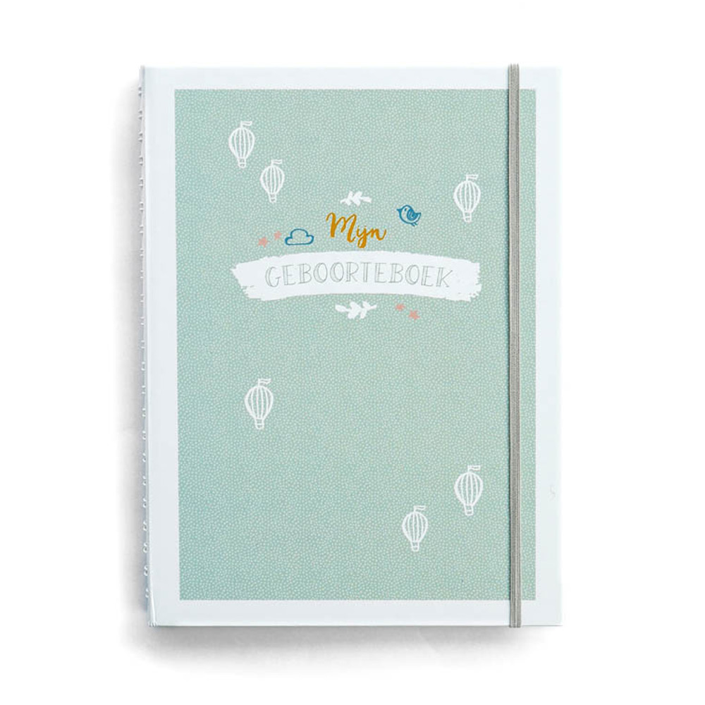 Mijn geboorteboek / kraambezoekboek - mint