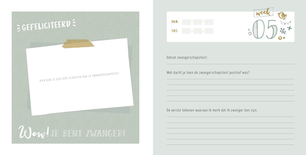 Mijn zwangerschapsdagboek - roze